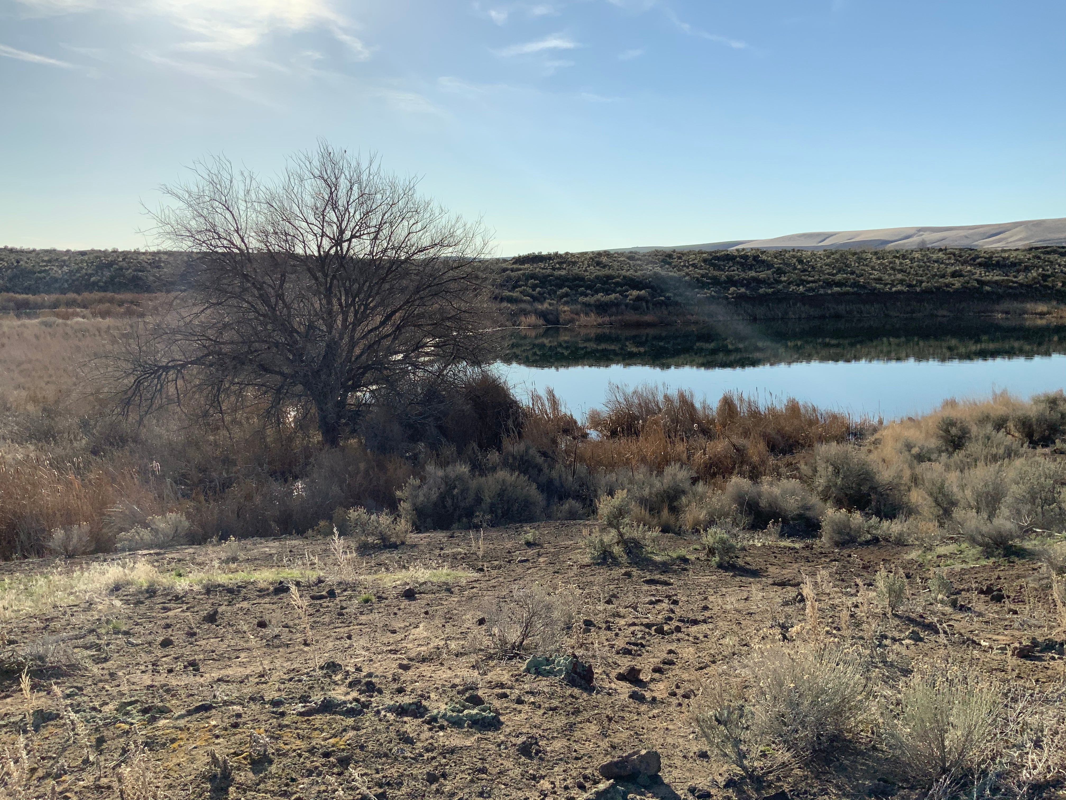 Camper submitted image from Caliche Lake - 3