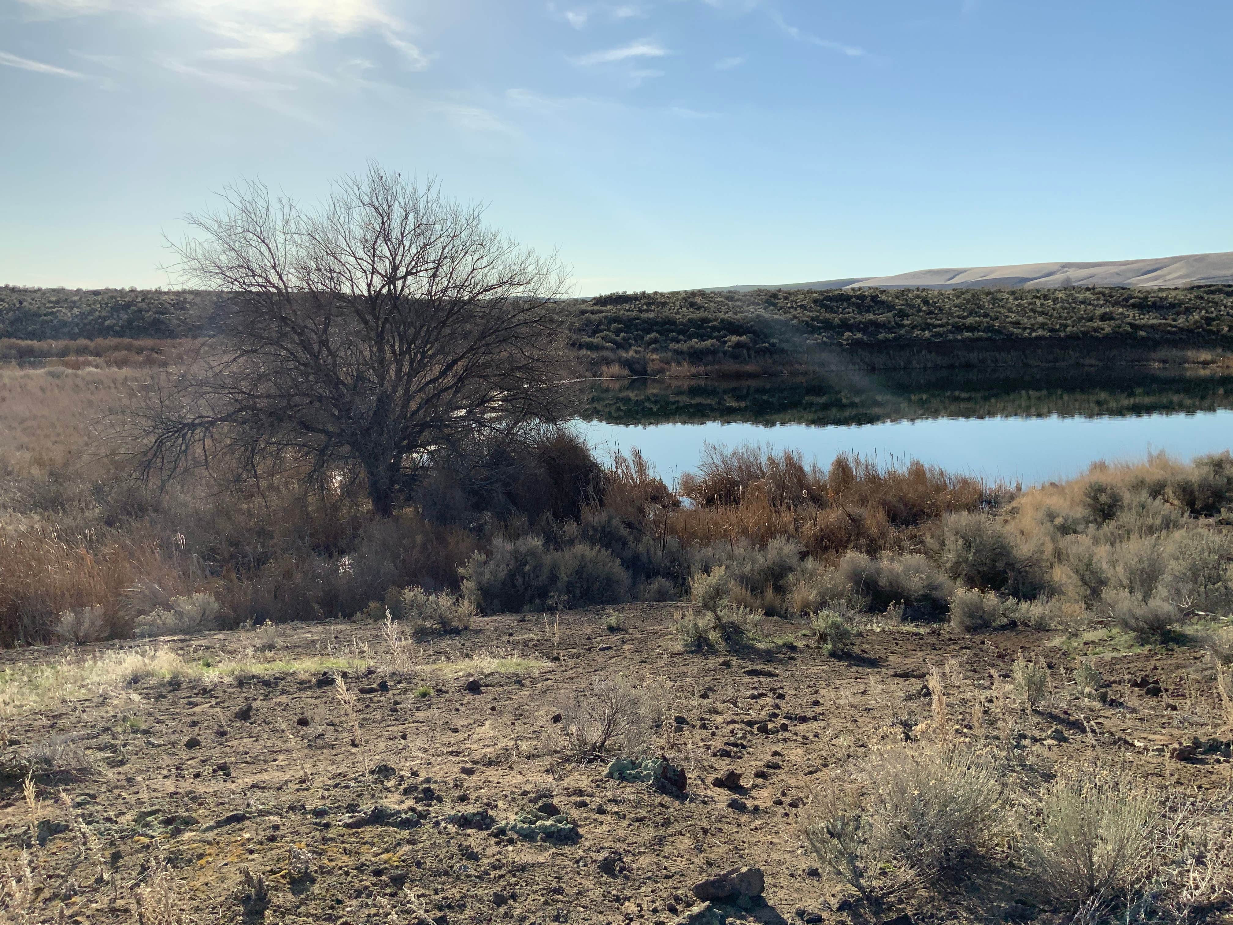 Camper submitted image from Caliche Lake - 3