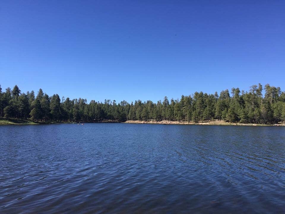 Jamey R.'s photo of a dispersed camping area at Carr Lake Campground on Forest Road 9350 near Young, AZ