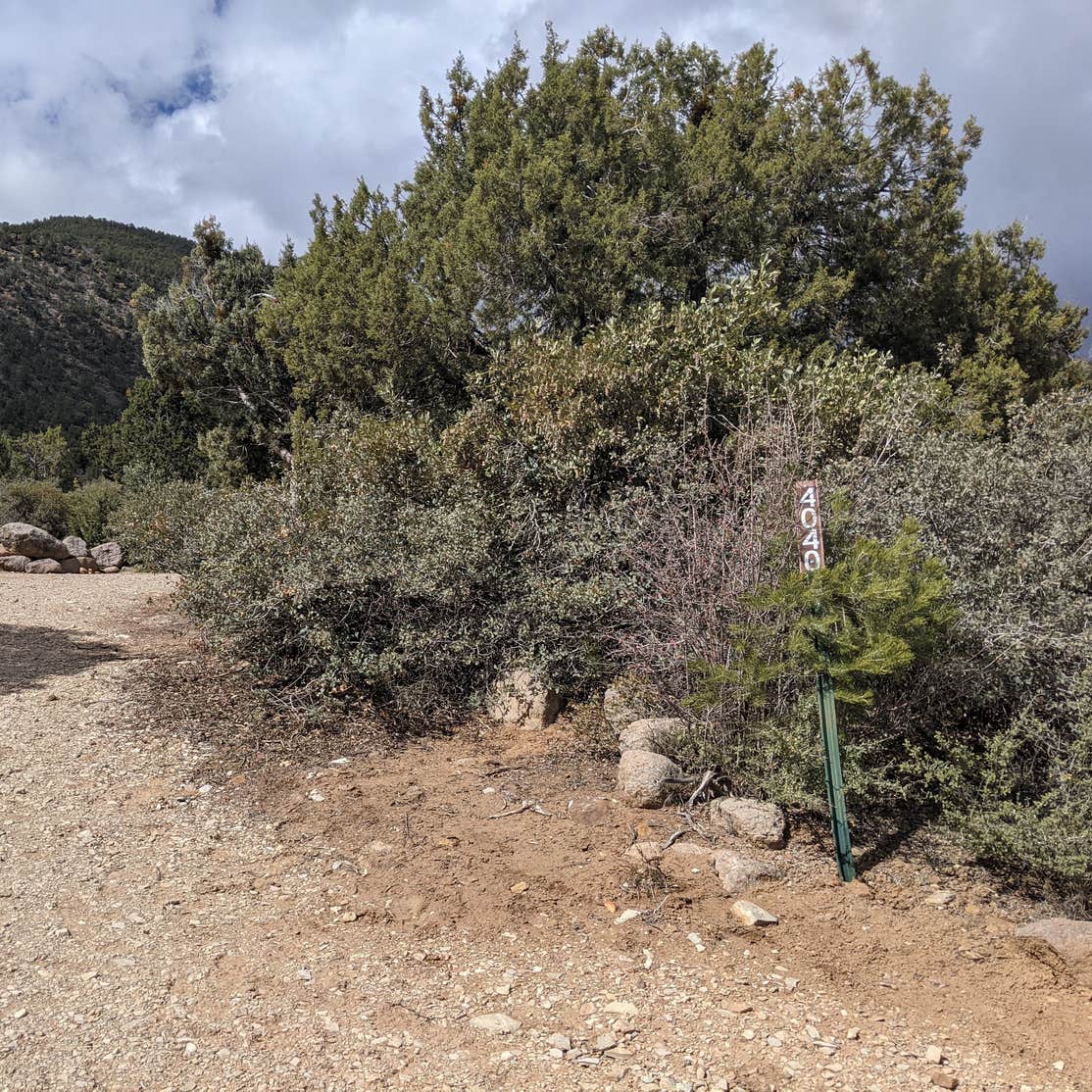 Leeds Canyon Dispersed 10 Camping Leeds, UT