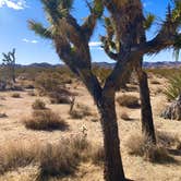 Review photo of Salton Sea Sra by Erin A., March 27, 2021