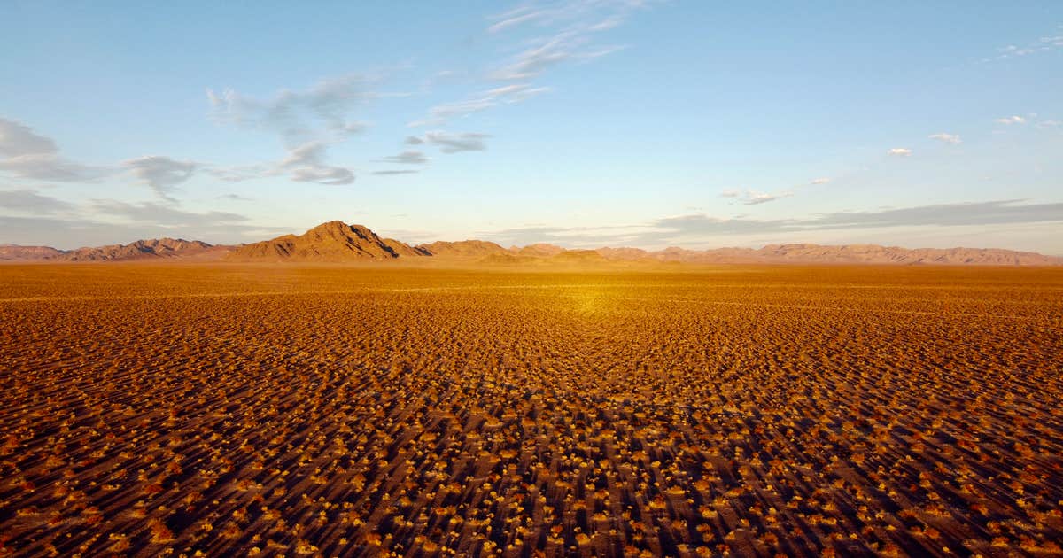 DeathValley Camp