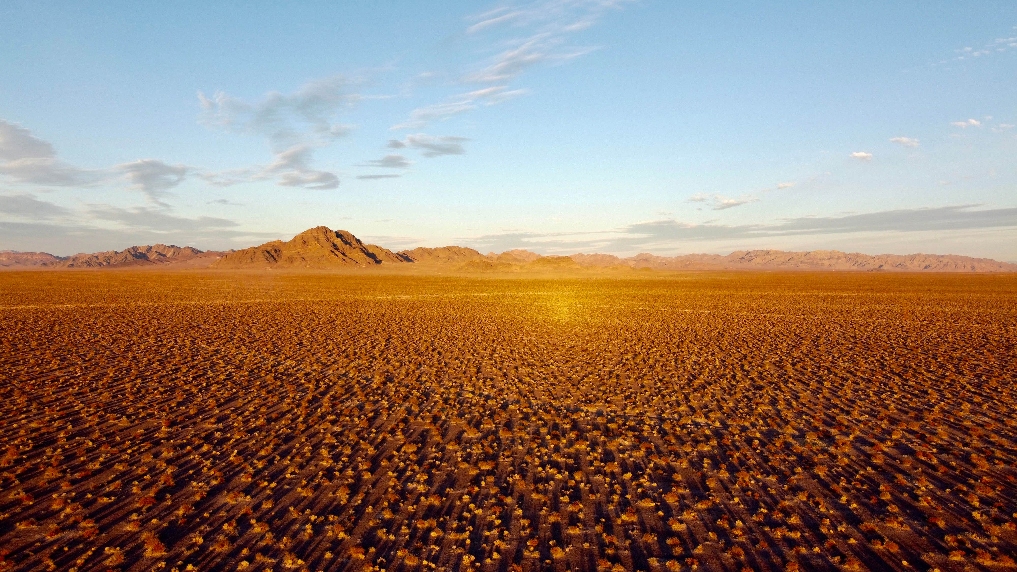 Camper submitted image from DeathValley Camp - 1