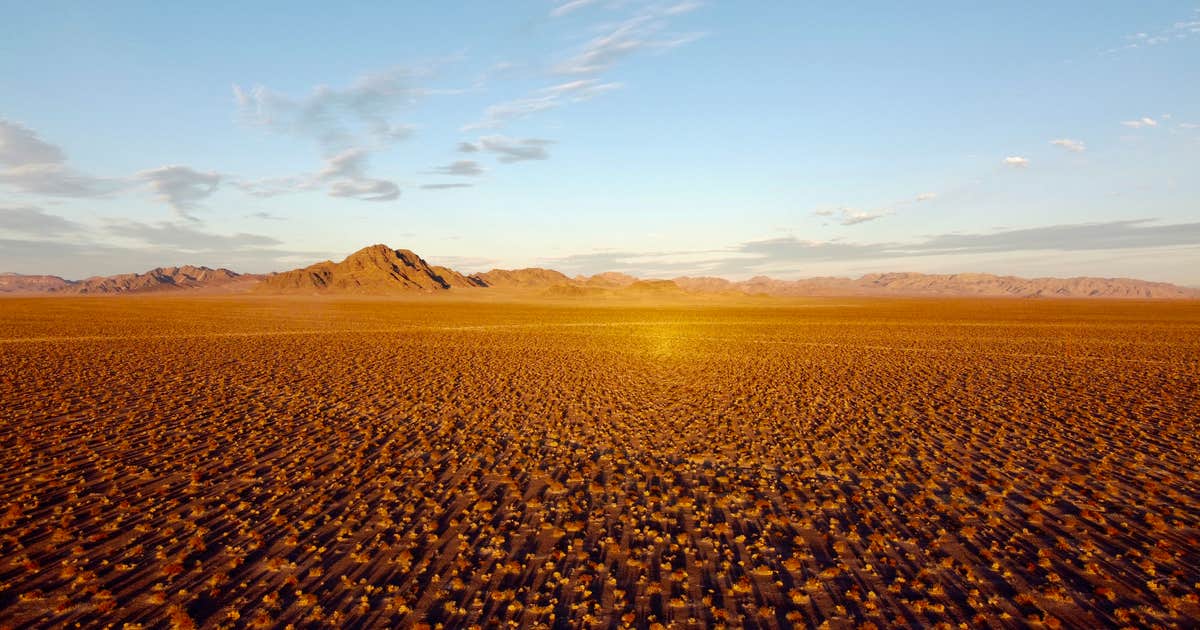 DeathValley Camp