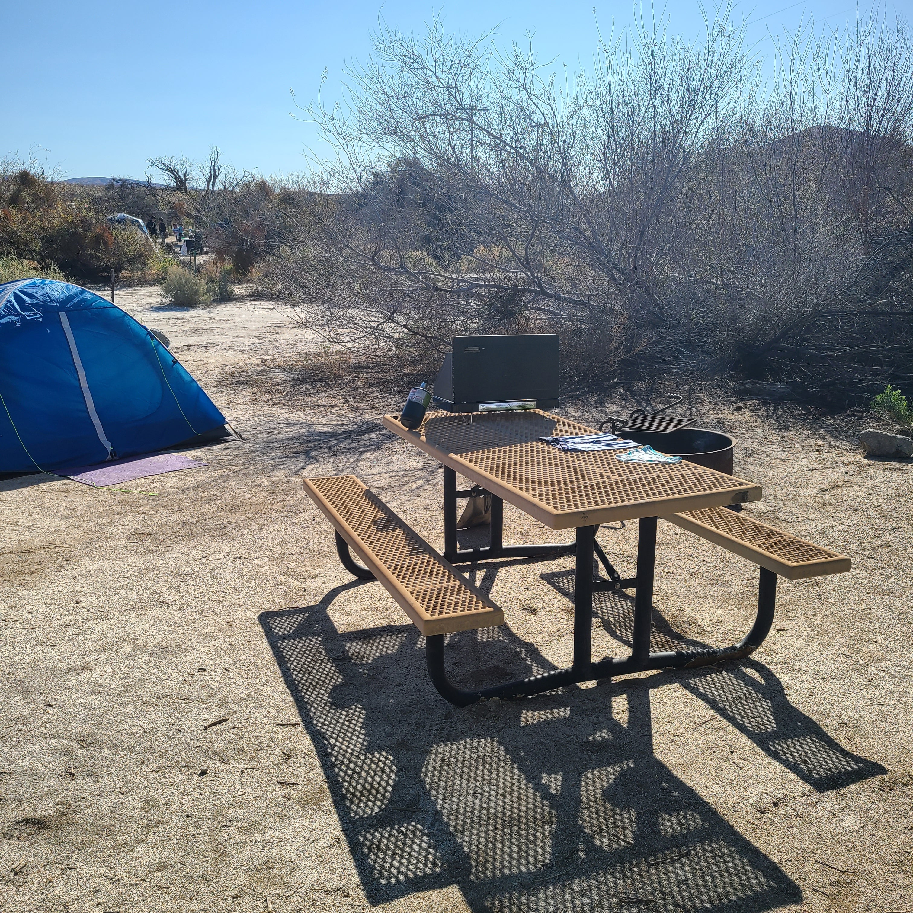 Camper submitted image from San Diego County Vallecito Regional Park - 1