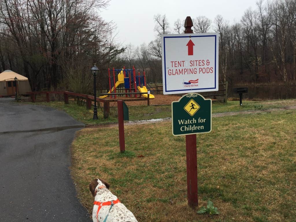 MickandKarla W.'s photo of camping with pets at Cherry Hill Park near Parkville, MD