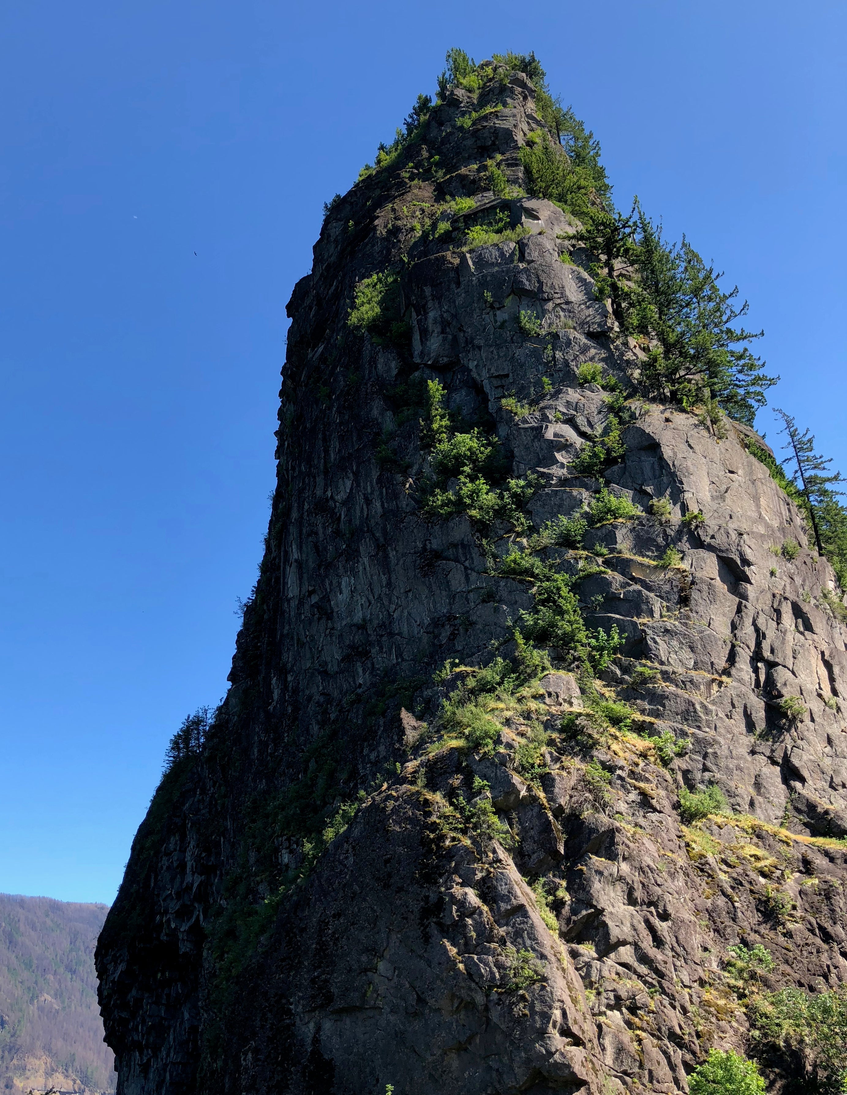 Camper submitted image from Beacon Rock State Park Campground - 2