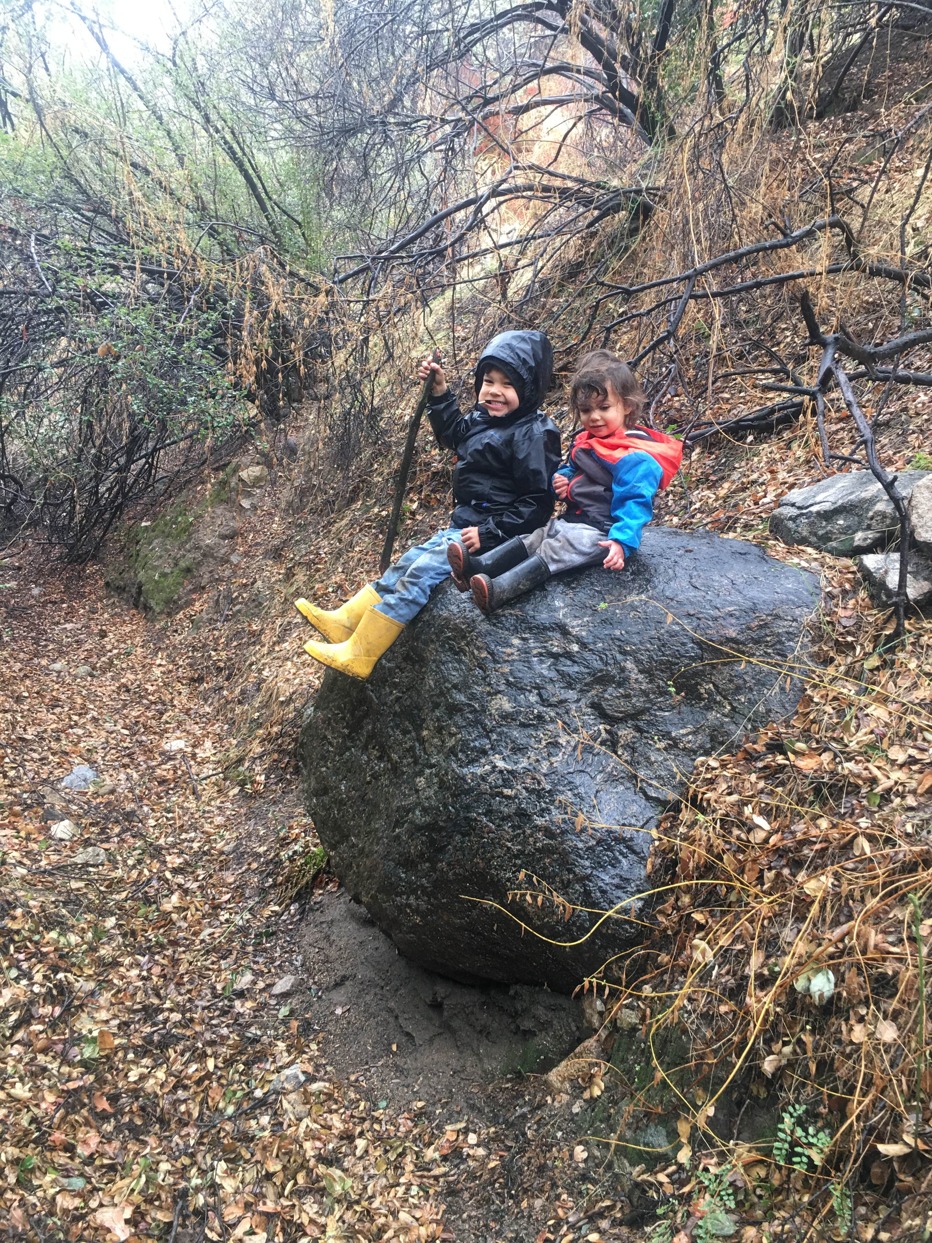 Camper-submitted photo at Antfarm LA near West Hollywood, CA