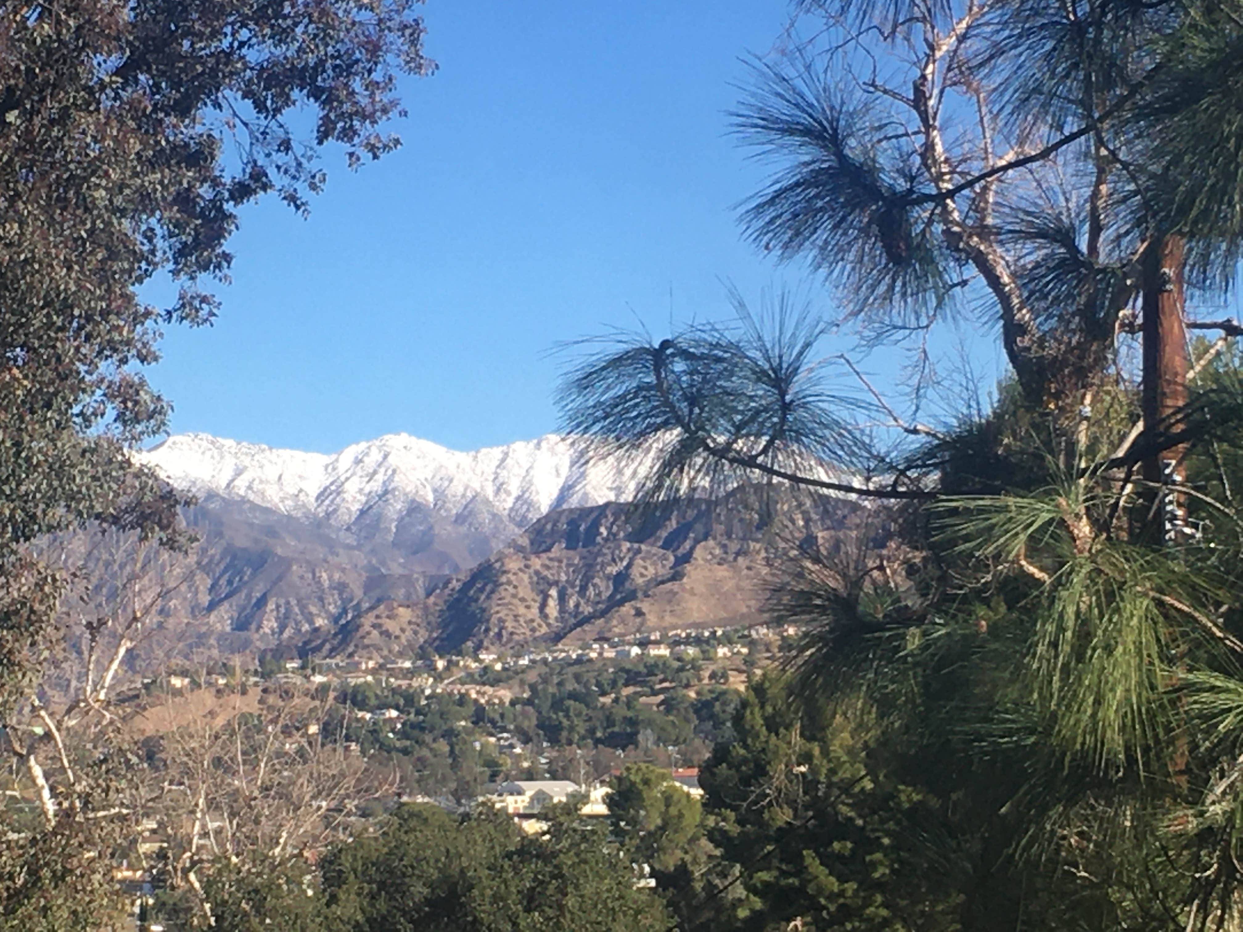 Camper-submitted photo at Antfarm LA near West Hollywood, CA