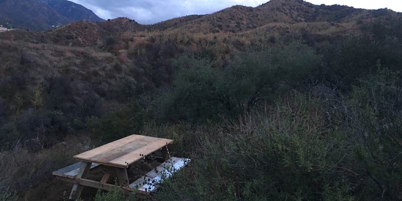 Camper submitted image from Antfarm LA