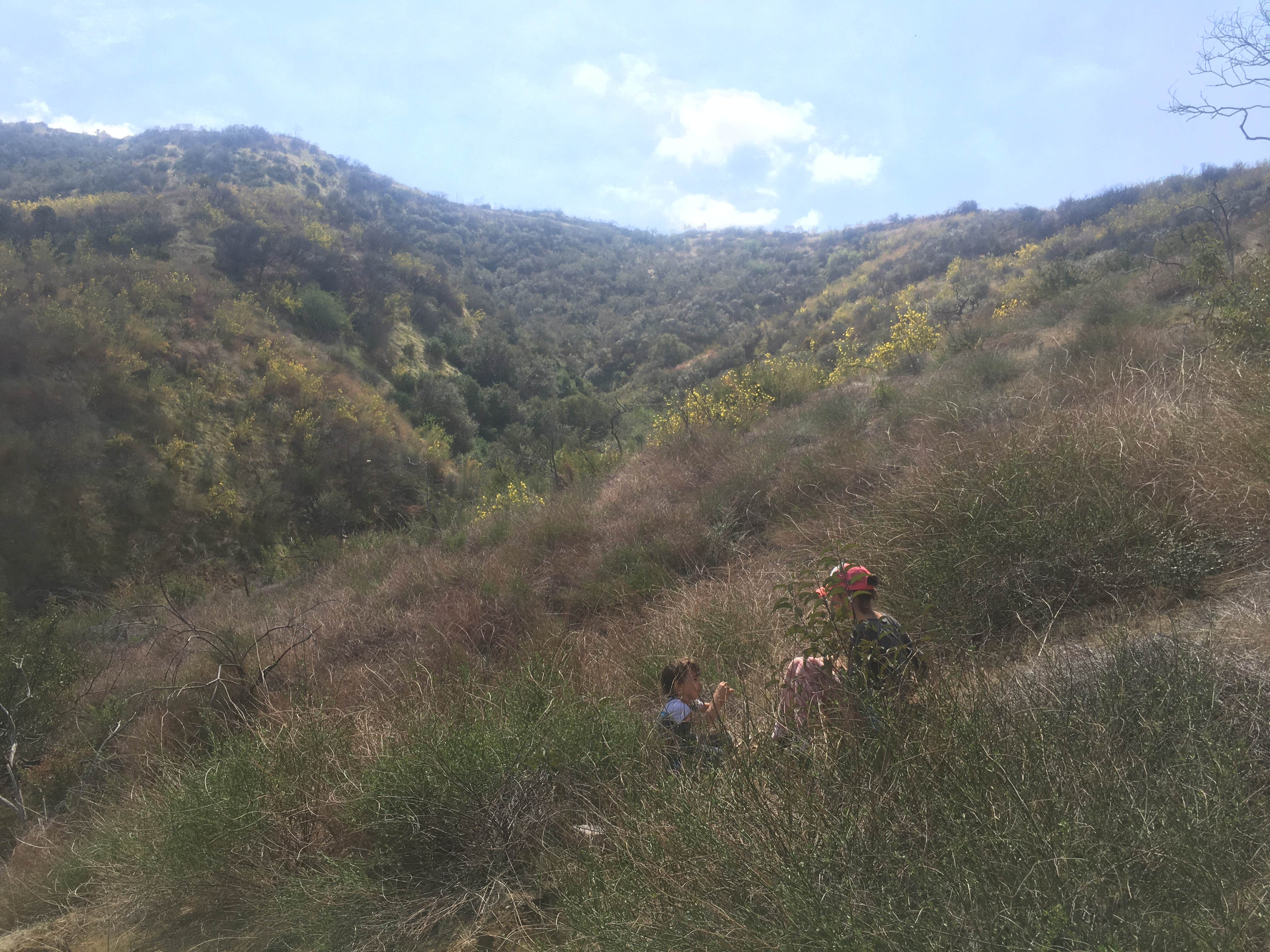 Camper-submitted photo at Antfarm LA near West Hollywood, CA