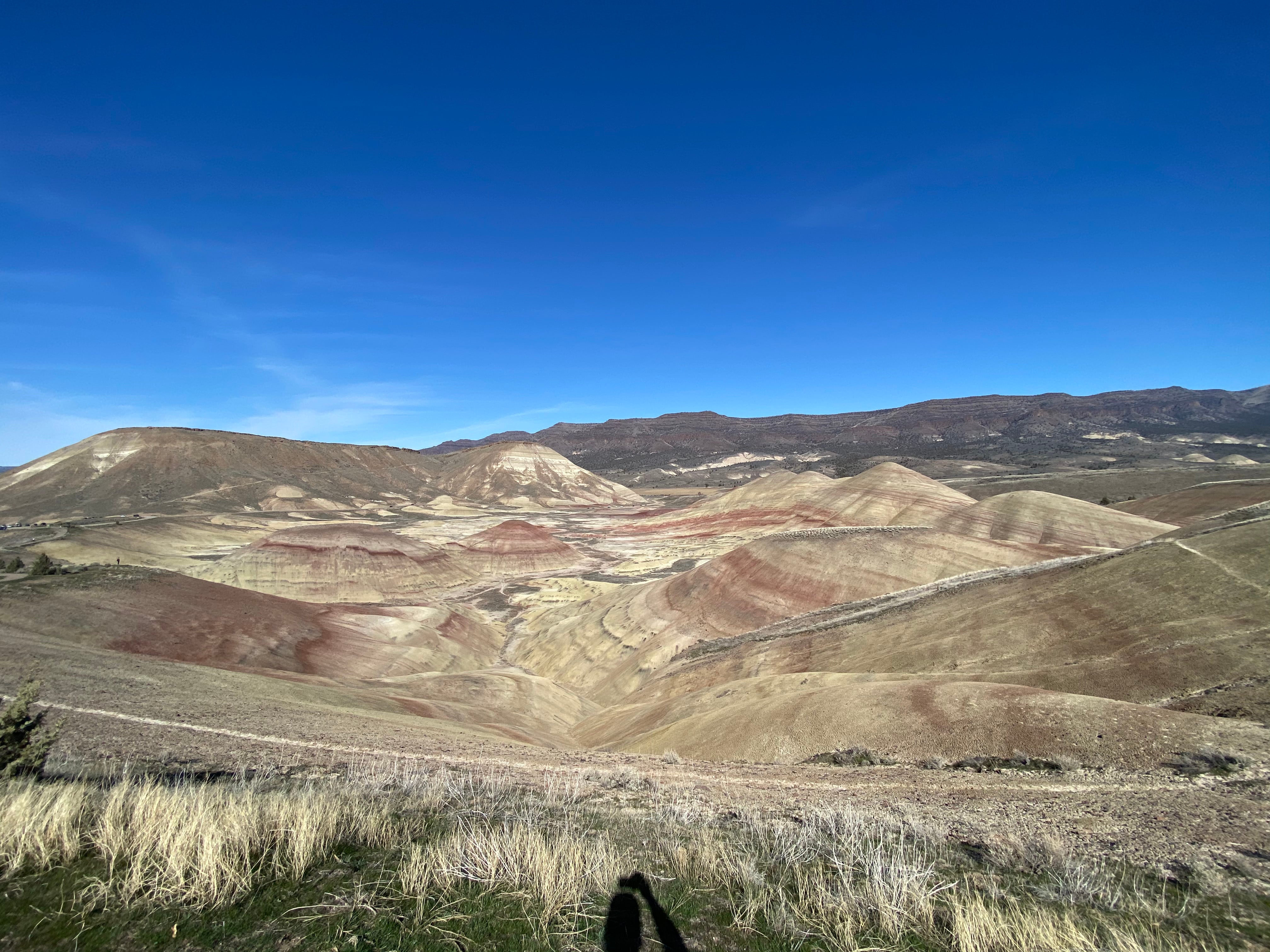 Camper submitted image from Burnt Ranch Road/Bridge Creek (Painted Hills) - 2