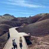 Review photo of Burnt Ranch Road/Bridge Creek (Painted Hills) by Chris T., March 21, 2021