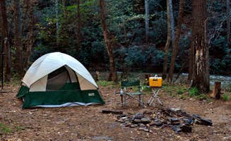 Myron C.'s photo of tent camping at Grapevine near Seneca, SC