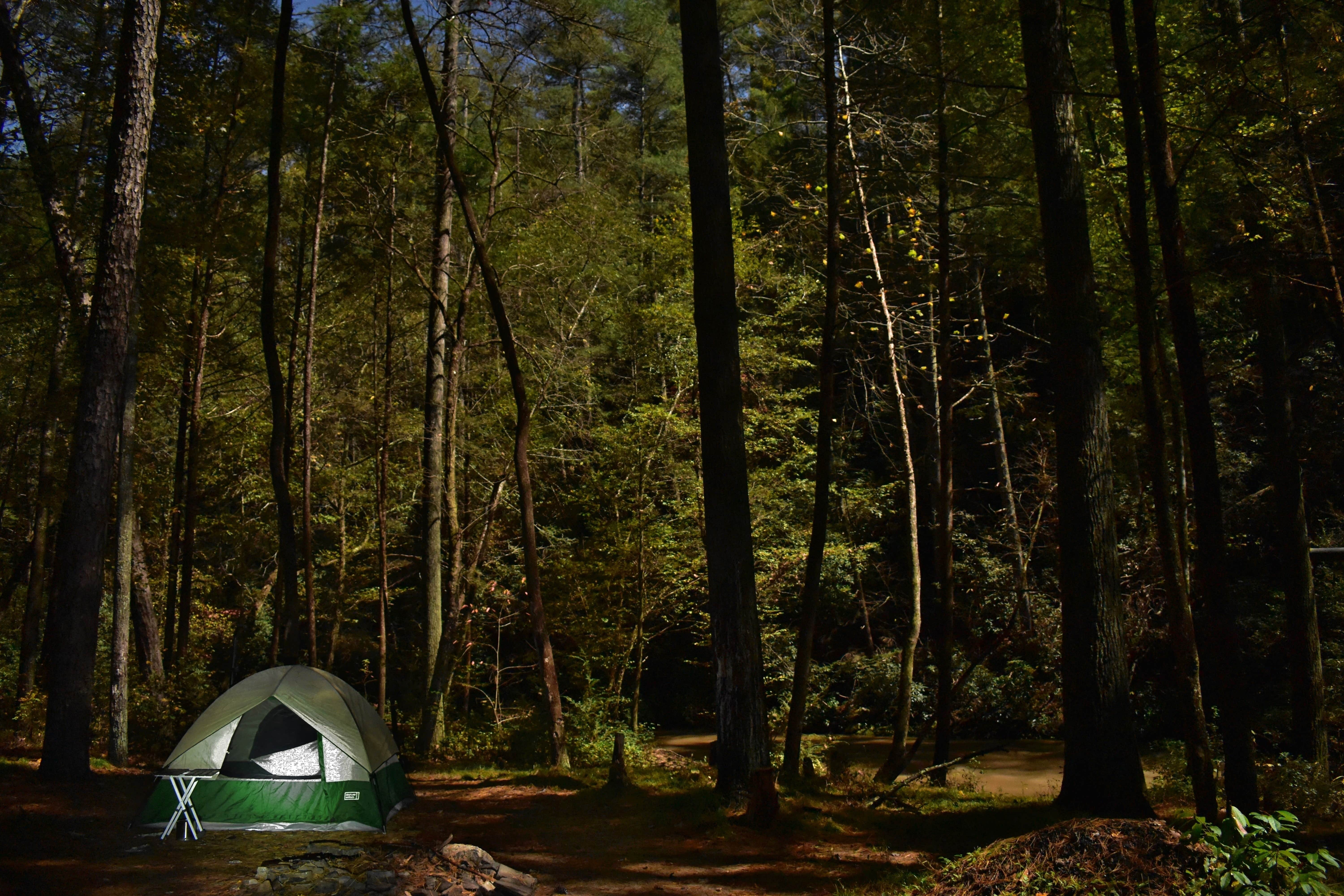 Myron C.'s photo of tent camping at Grapevine near Toccoa, GA