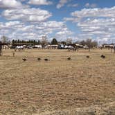 Review photo of Logan Park - Ute Lake State Park by N I., March 27, 2021