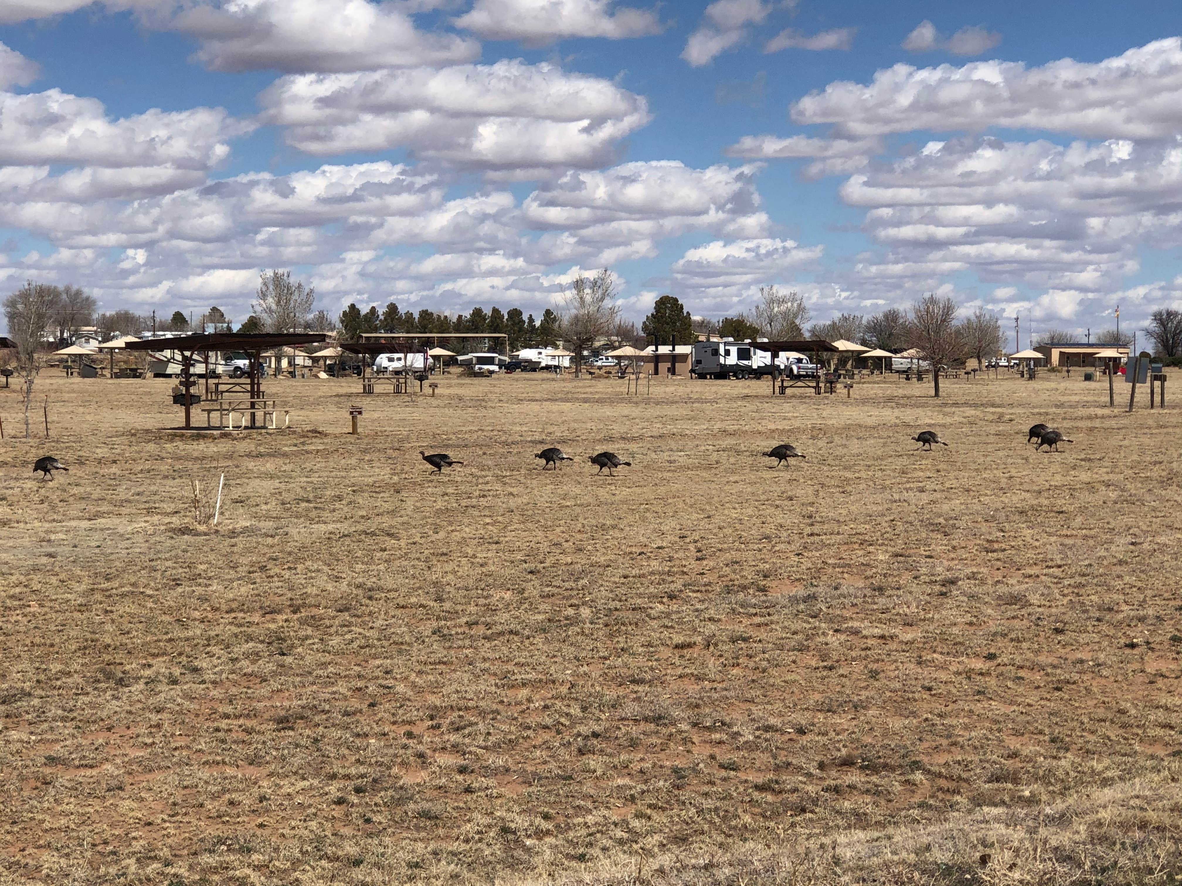 Camper submitted image from Logan Park - Ute Lake State Park - 1