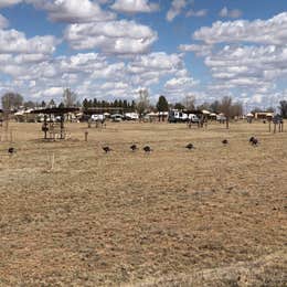 Logan Park — Ute Lake State Park