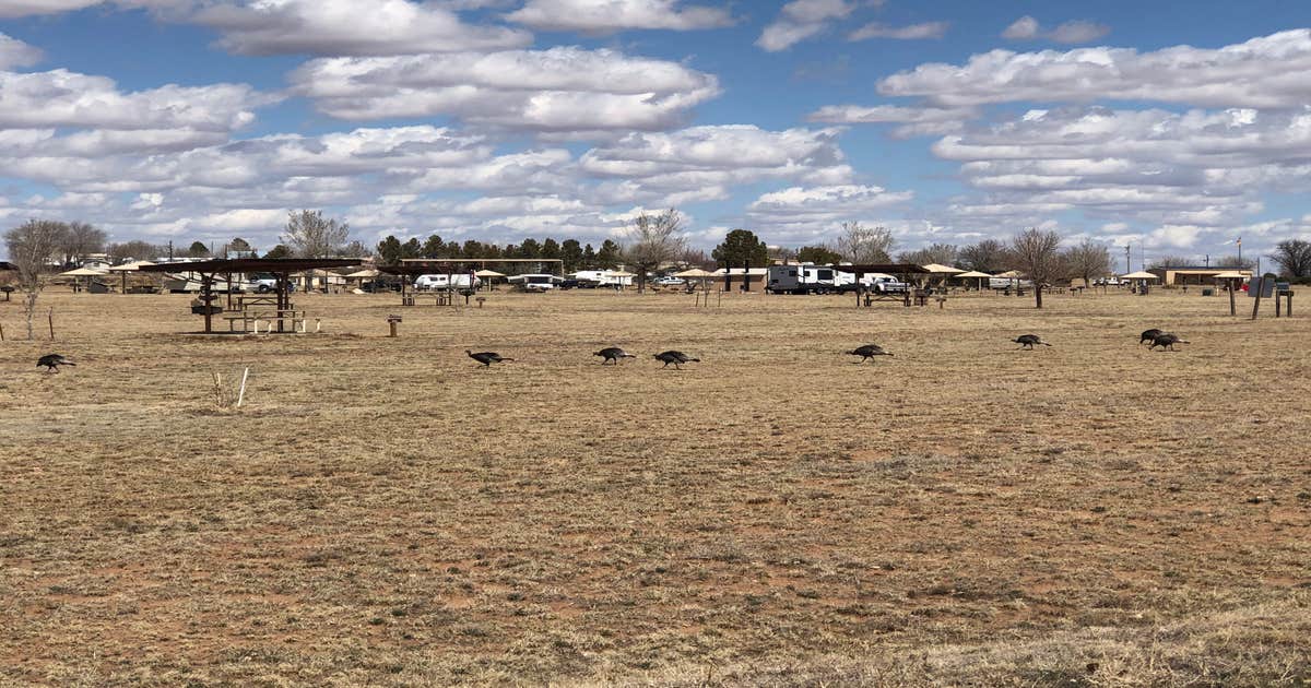 Logan Park — Ute Lake State Park