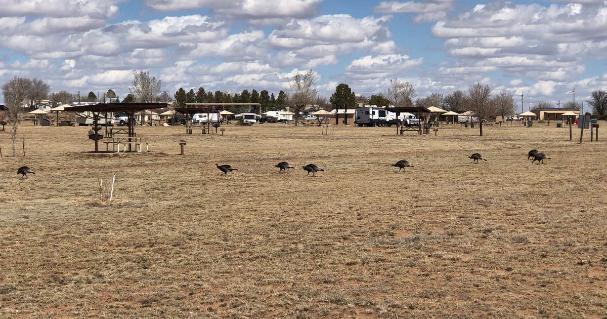 Logan Park — Ute Lake State Park