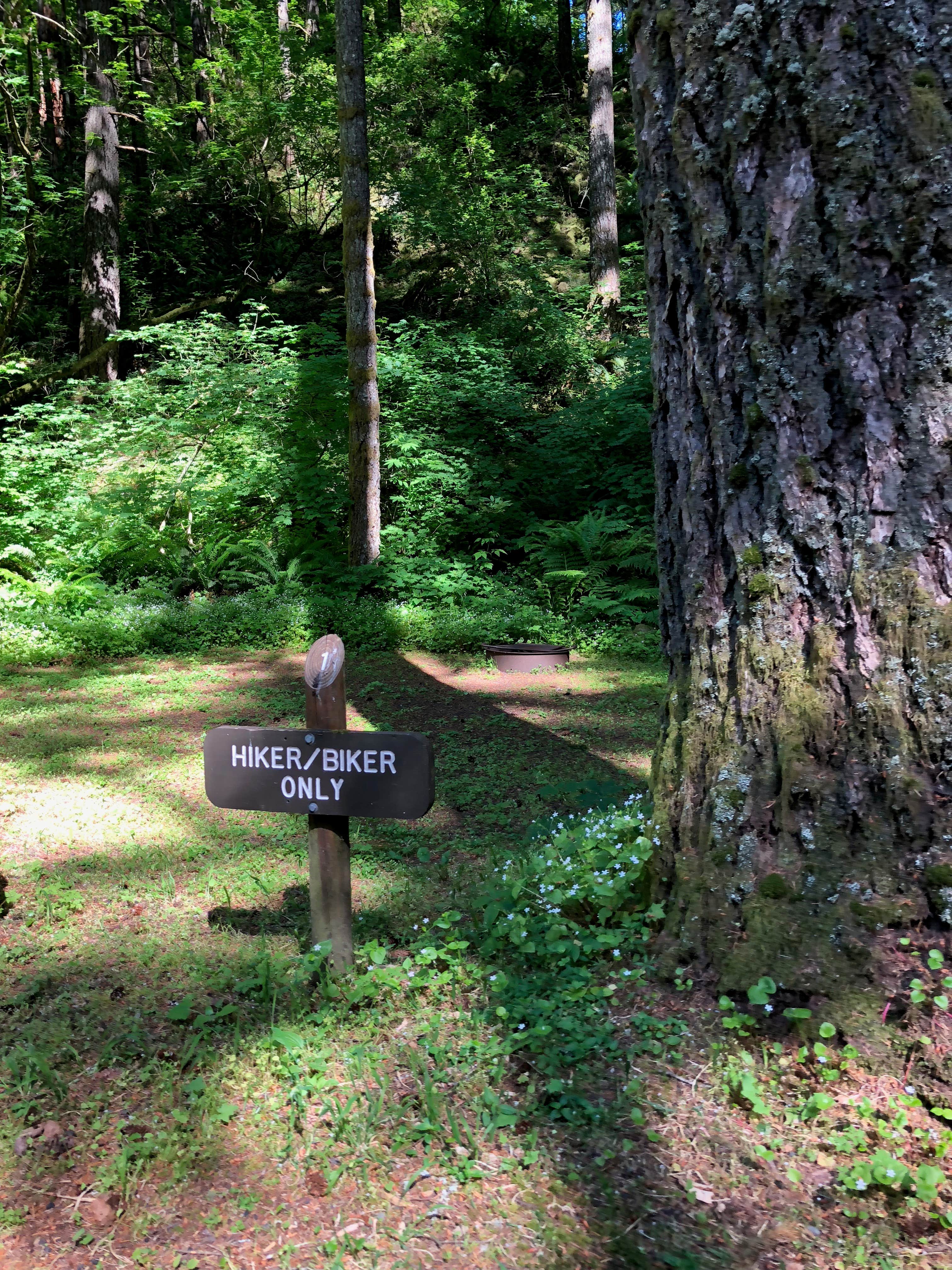 Camper submitted image from Beacon Rock State Park Campground - 3