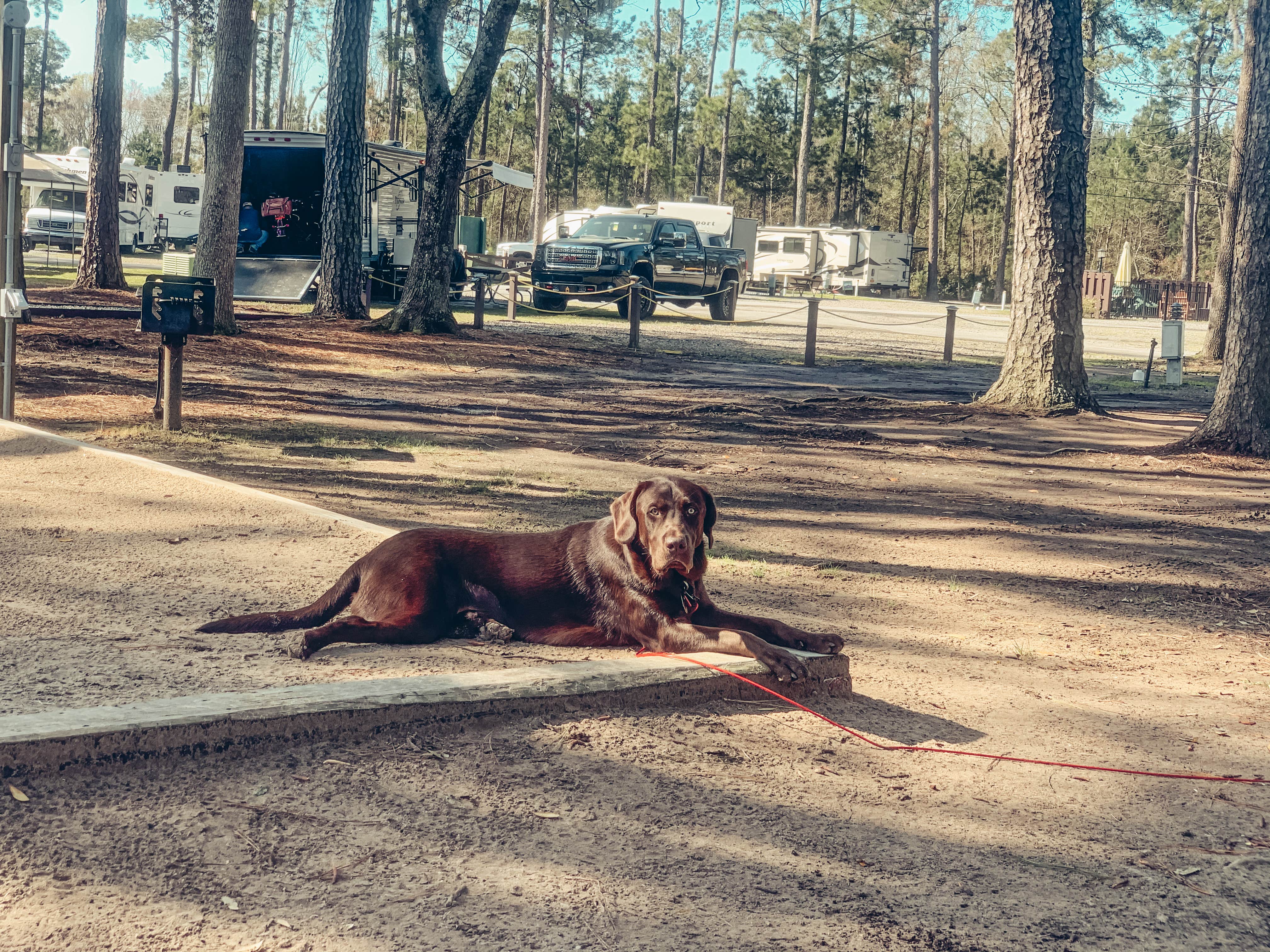 Jessica's photo of camping with pets at Savannah South KOA near Hinesville, GA