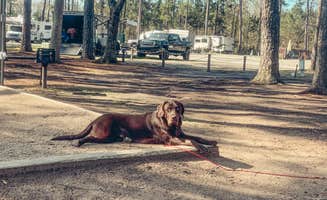 Jessica's photo of camping with pets at Savannah South KOA near Pooler, GA