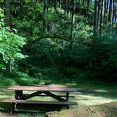 Review photo of Beacon Rock State Park Campground by Corinna B., May 31, 2018