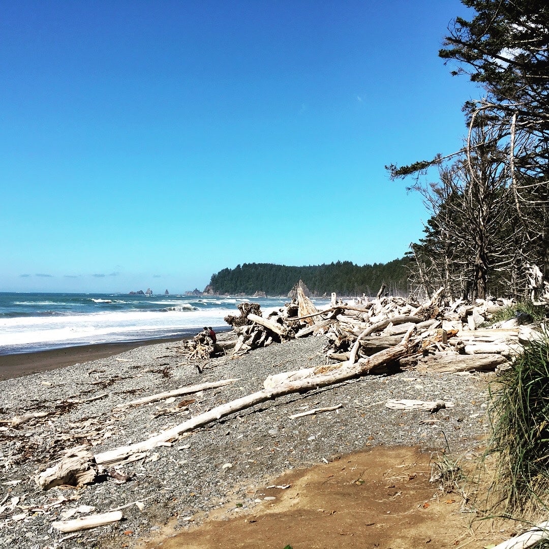 Camper submitted image from Mora Campground — Olympic National Park - 1