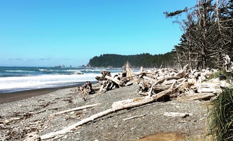 Camping near Second Beach — Olympic National Park: Mora Campground — Olympic National Park, La Push, Washington