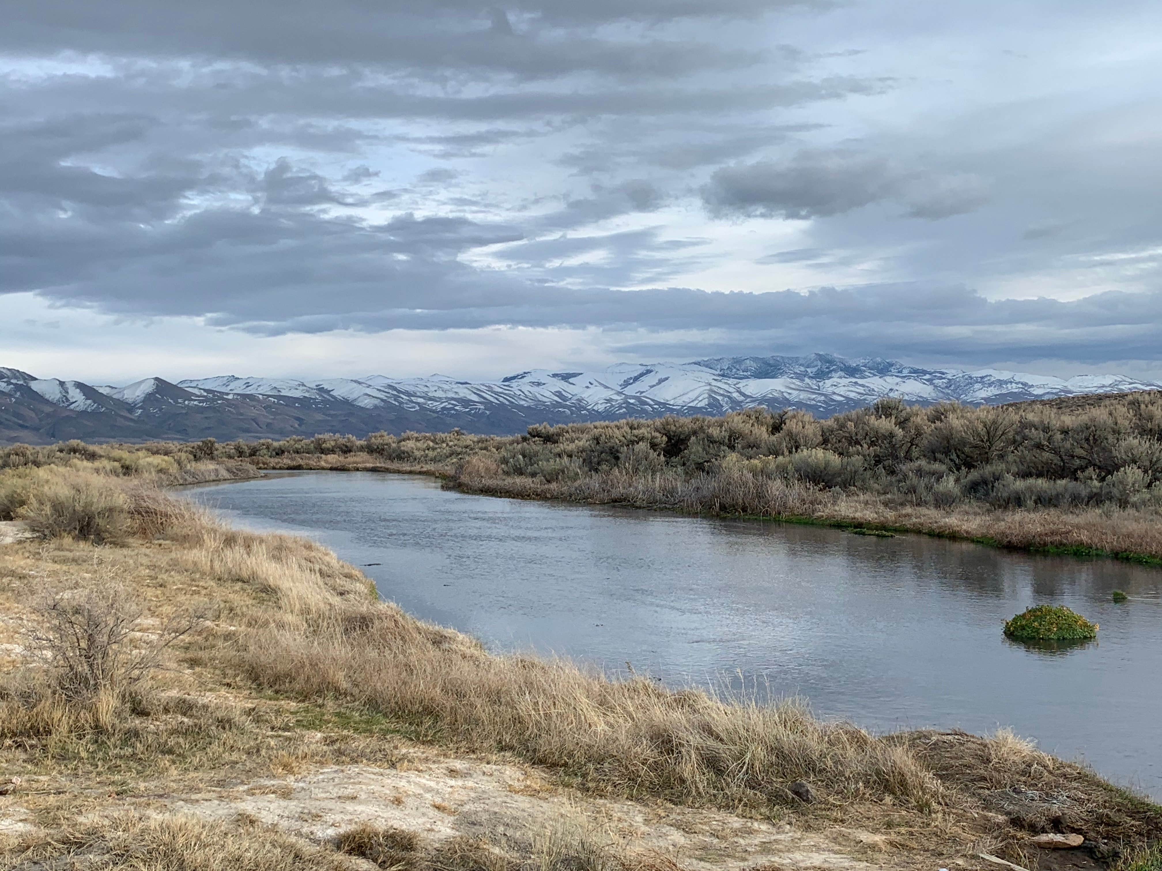 Camper submitted image from Bog Hot Springs Dispersed Camping - 1