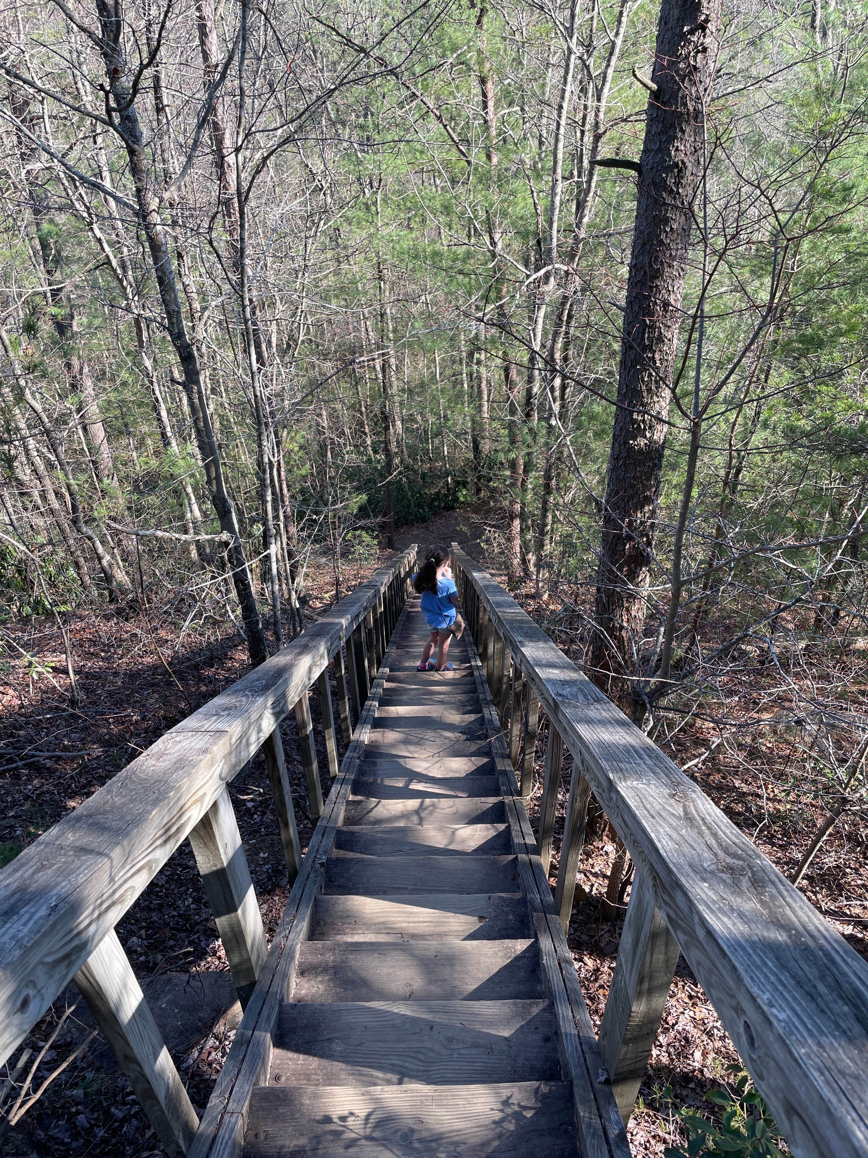 Camper-submitted photo at Koomer Ridge Campground — Daniel Boone National Forest in Kentucky