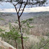 Review photo of Koomer Ridge Campground — Daniel Boone National Forest by Brian N., March 28, 2021