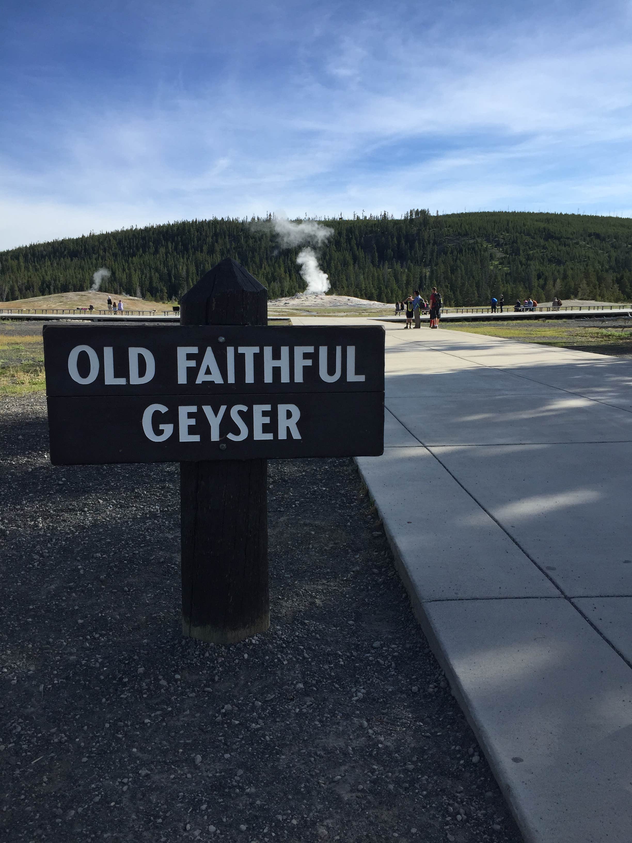 Camper submitted image from Bridge Bay Campground — Yellowstone National Park - 5