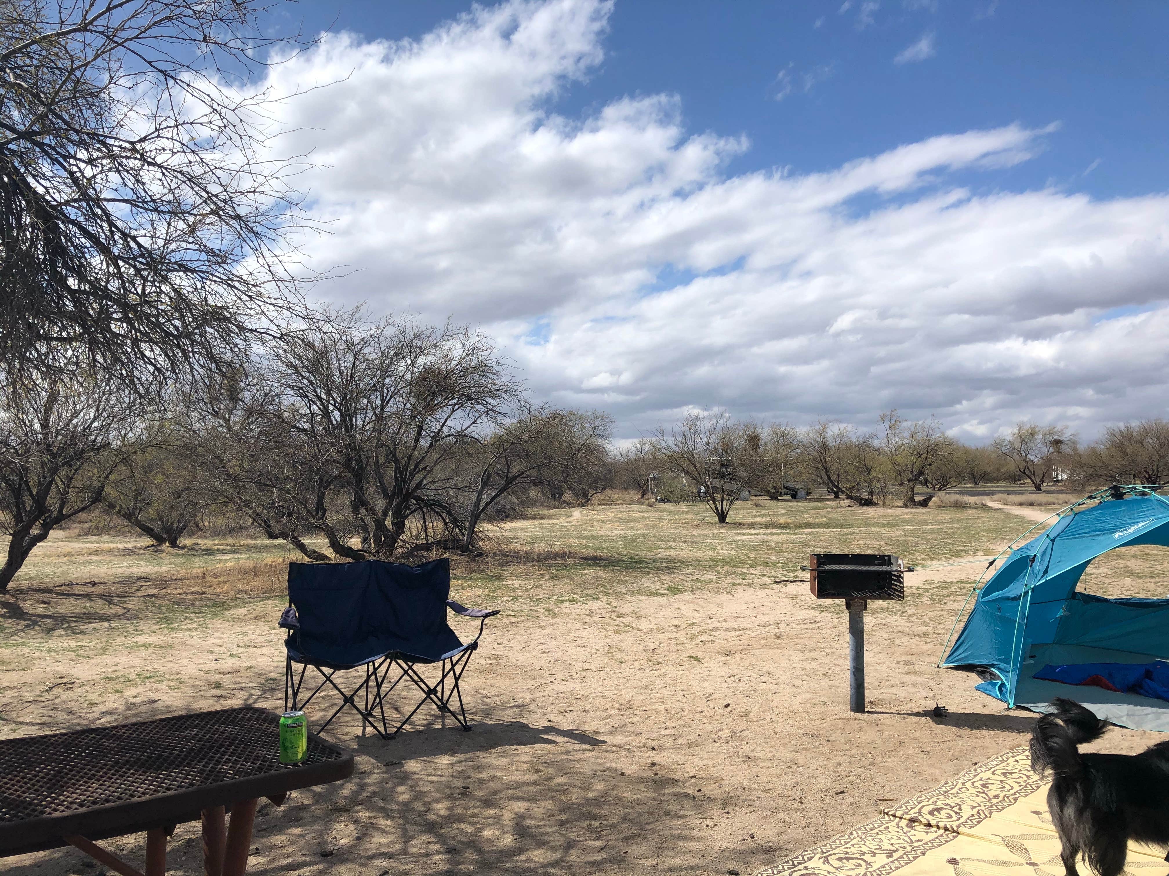 Candy P.'s photo at Catalina State Park Campground near Catalina, AZ