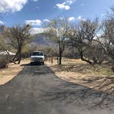 Review photo of Catalina State Park Campground by Candy P., March 28, 2021