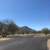 Review photo of Catalina State Park Campground by Candy P., March 28, 2021