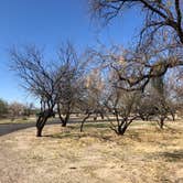 Review photo of Catalina State Park Campground by Candy P., March 28, 2021