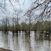 Review photo of Moro Bay State Park Campground by Melissa , March 28, 2021