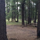 Review photo of Pine Grove Campground by Jamey R., May 31, 2018