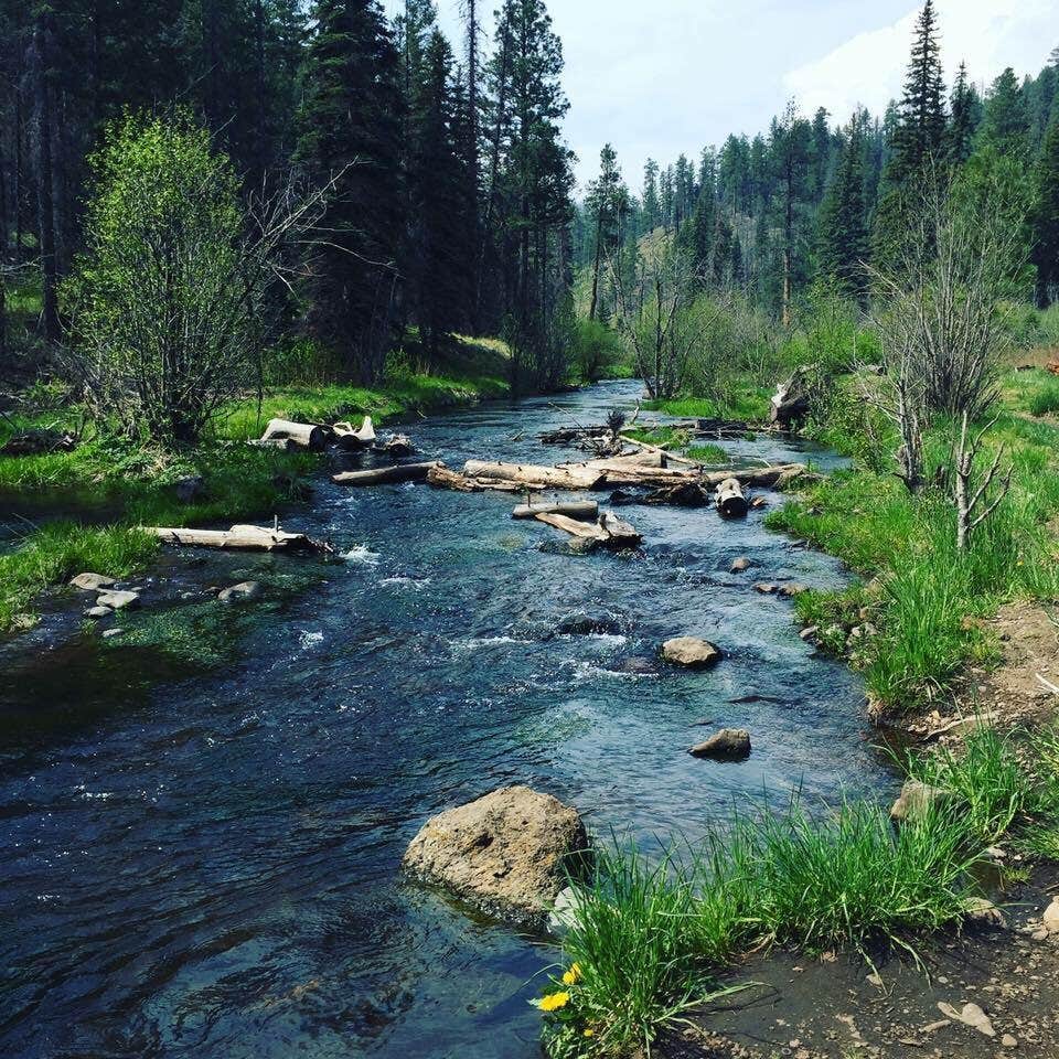 Camper submitted image from Rolfe C. Hoyer Campground - 2