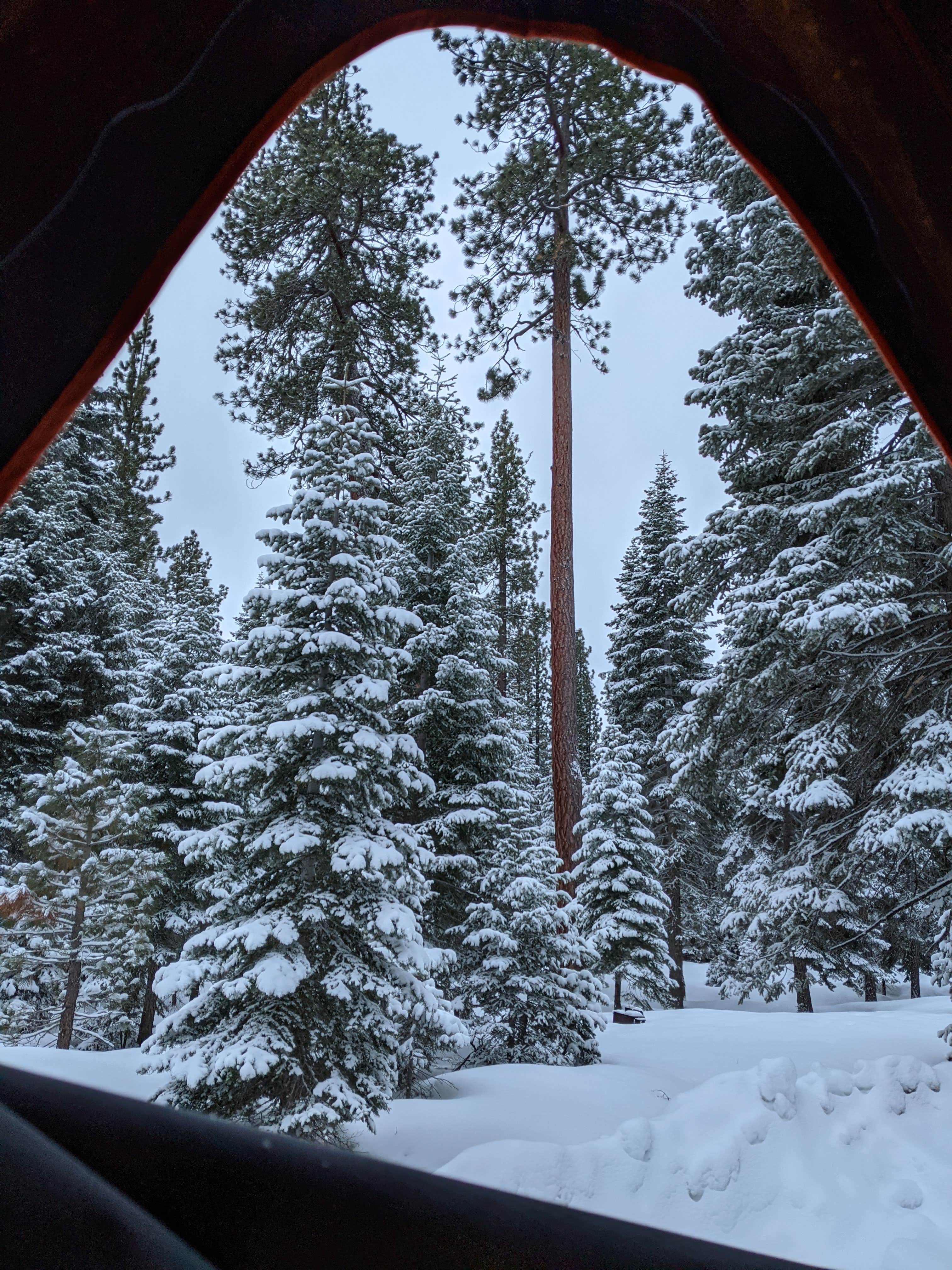 Camper submitted image from Sugar Pine Point Campground - 2