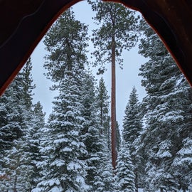 Wintery wonder from the tent.