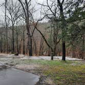 Review photo of Devil's Den State Park Campground by Steve S., March 28, 2021