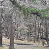 Review photo of Devil's Den State Park Campground by Steve S., March 28, 2021