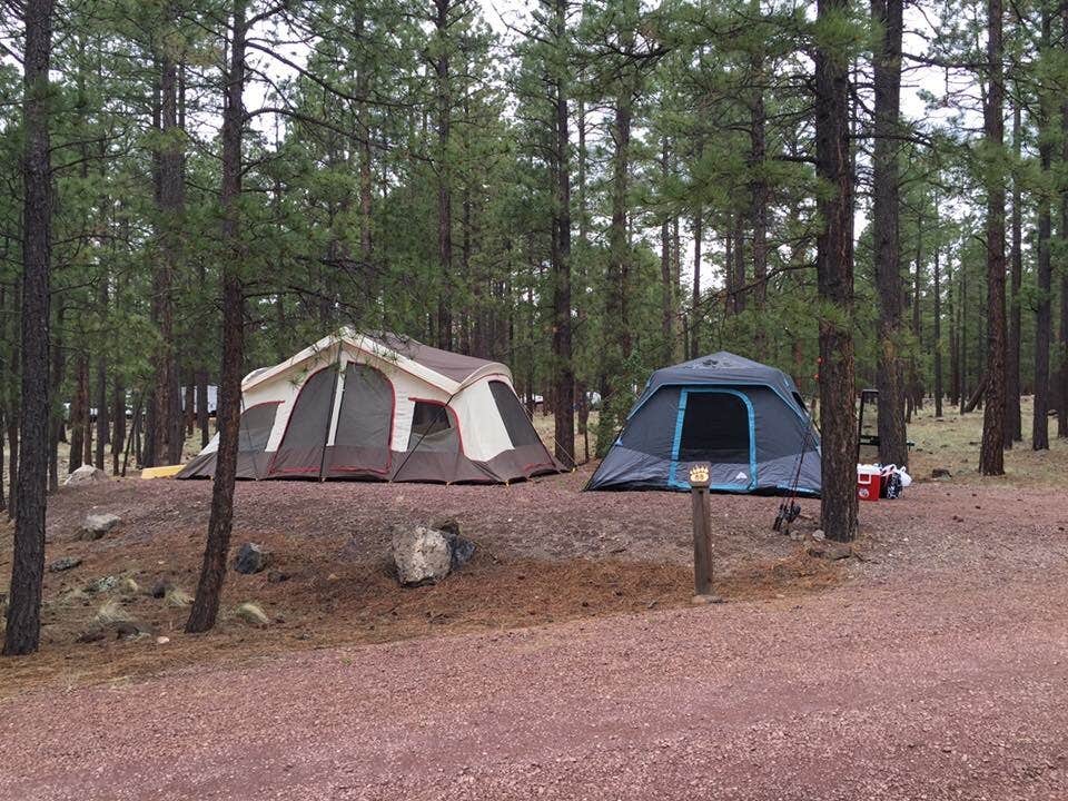 Jamey R.'s photo at Rolfe C. Hoyer Campground near St. Johns, AZ