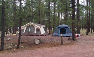Jamey R.'s photo at Rolfe C. Hoyer Campground near Springerville, AZ