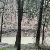 Review photo of Devil's Den State Park Campground by Steve S., March 28, 2021