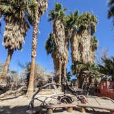 Review photo of Saline Valley Primitive Campground — Death Valley National Park by Meghan , March 28, 2021