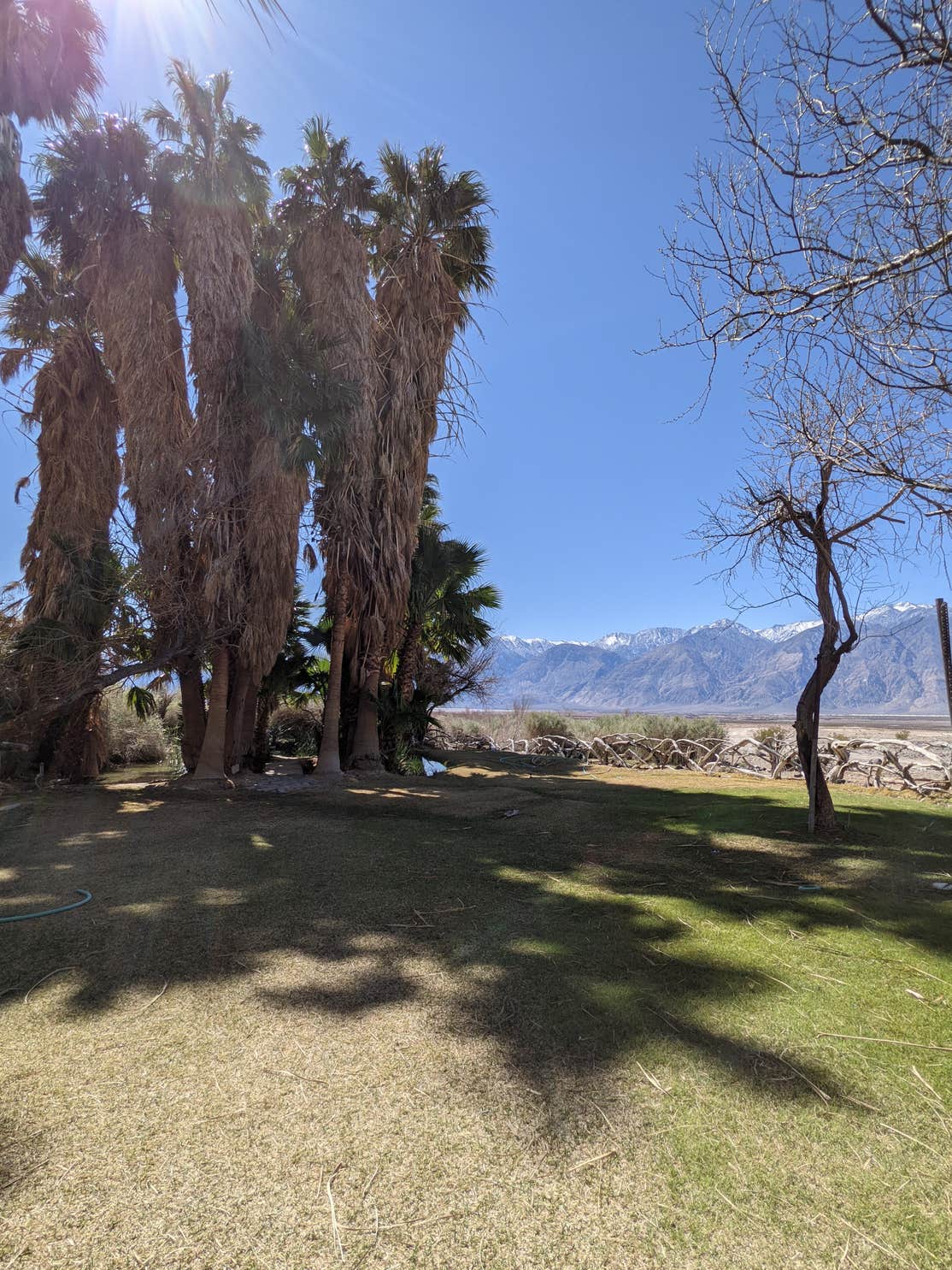 Warm Springs Campground The Dyrt